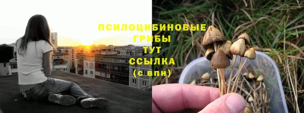 амф Арсеньев
