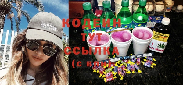 индика Армянск
