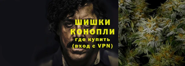 амф Арсеньев