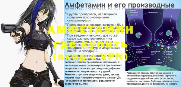 индика Армянск