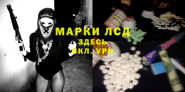 мяу мяу мука Аркадак