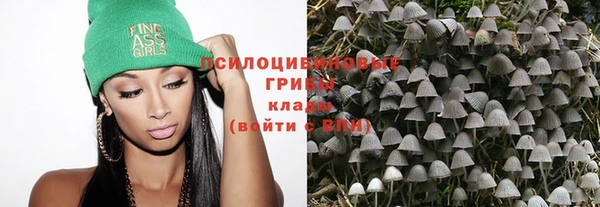 мяу мяу мука Аркадак